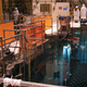 Image for article titled Mysterious "white web" found growing on nuclear waste